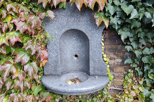 Tour image 7